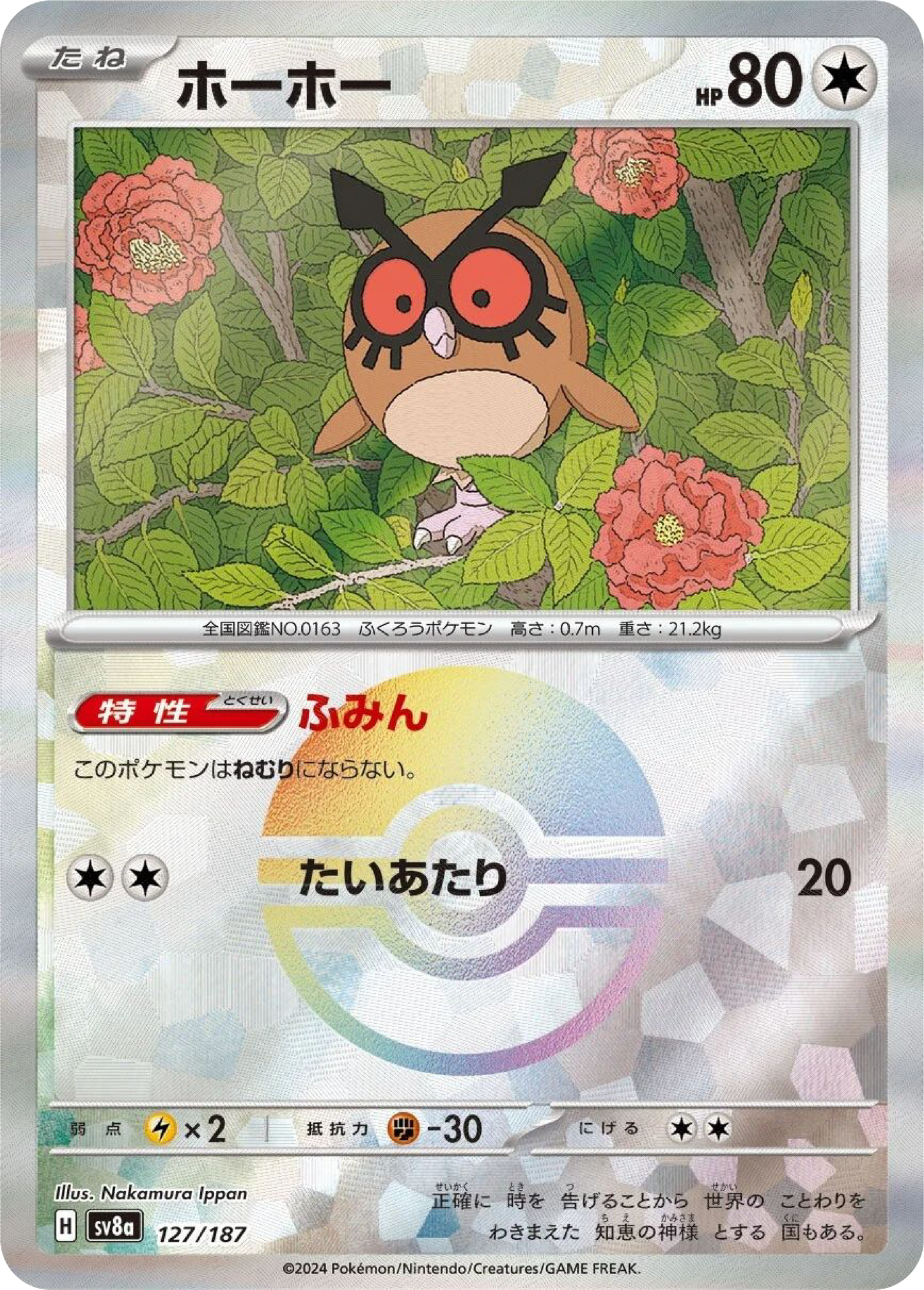 Hoothoot Reverse Holo (127/187) - Pokemon Terastal Festival ex (sv8a) - Japanese Pokemon Card Singles - High Value Hobby