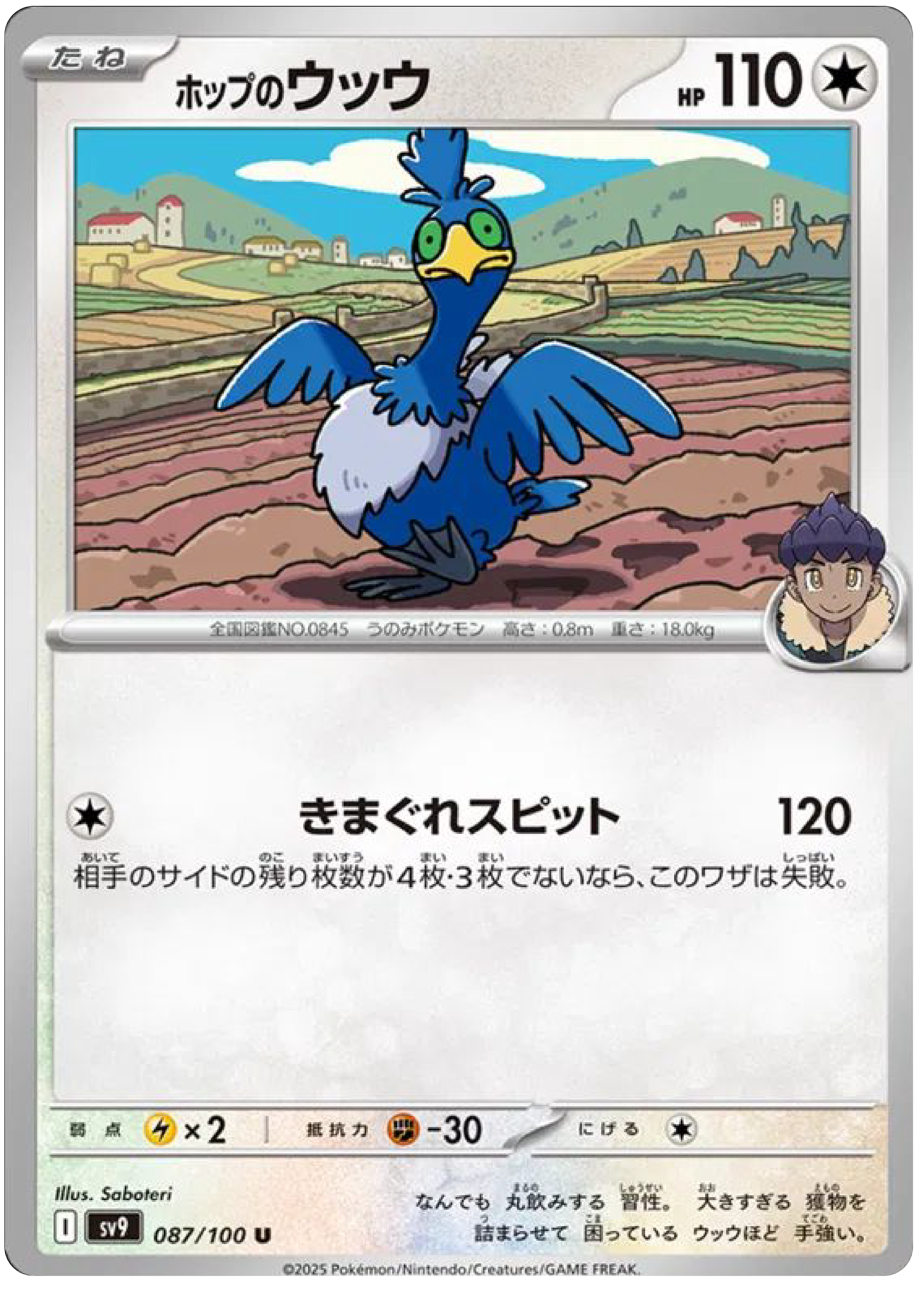 Hop's Cramorant (87/100) - Pokemon Battle Partners (sv9) - High Value Hobby Hop's Cramorant (87/100) - Pokemon Battle Partners (sv9) - High Value Hobby