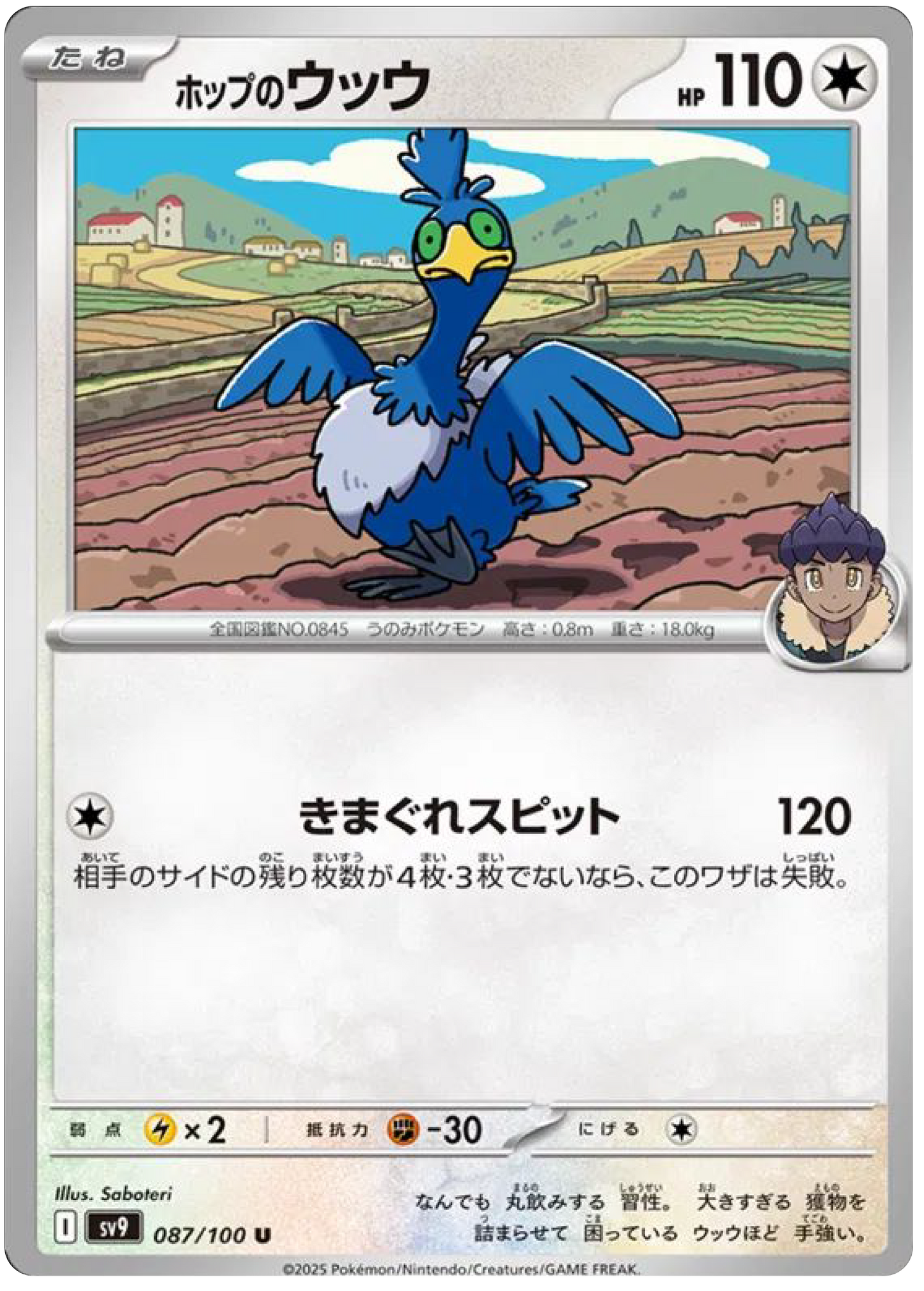 Hop's Cramorant (87/100) - Pokemon Battle Partners (sv9) - Japanese Pokemon Cards Canada - High Value Hobby