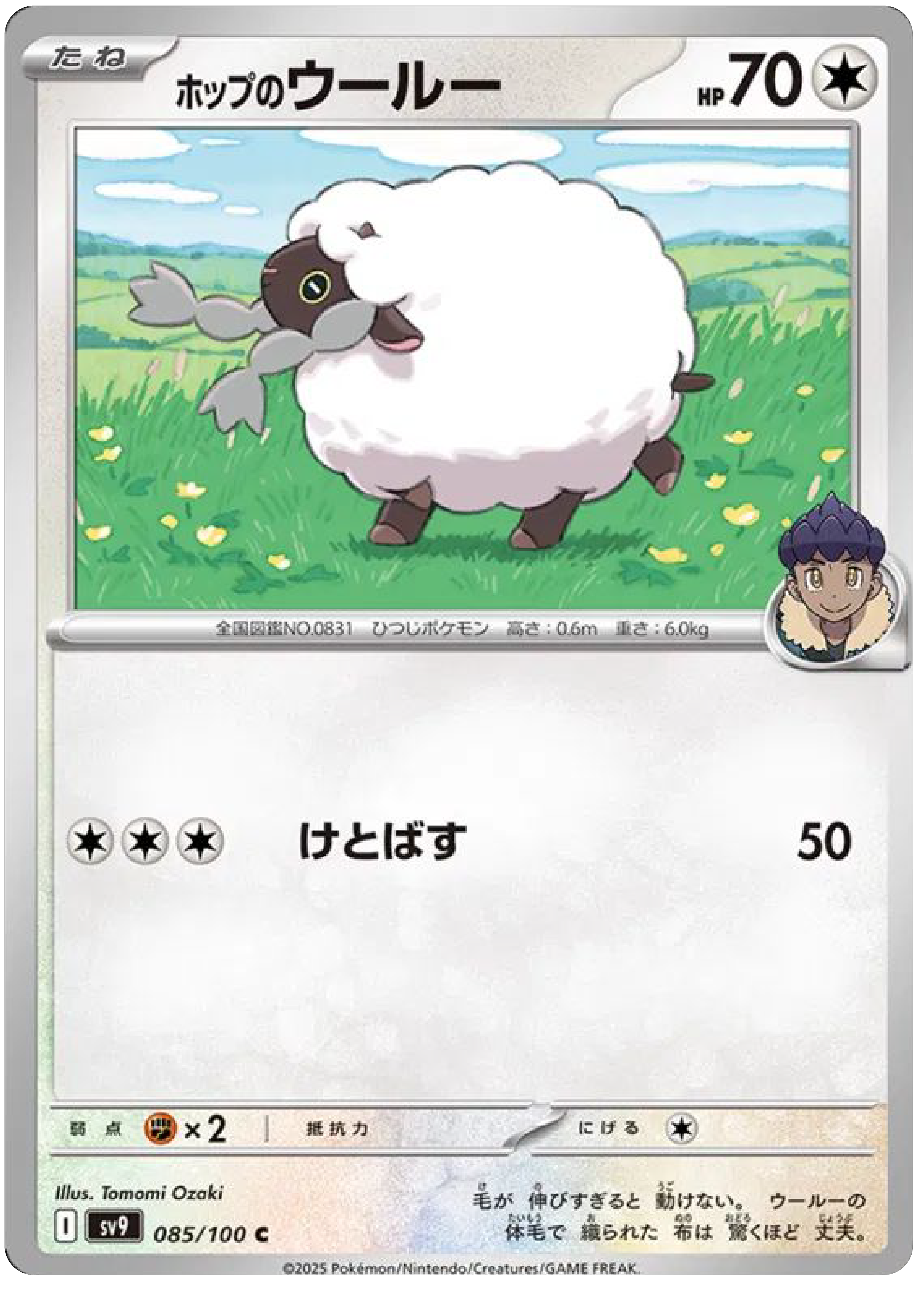 Hop's Wooloo (85/100) - Pokemon Battle Partners (sv9)