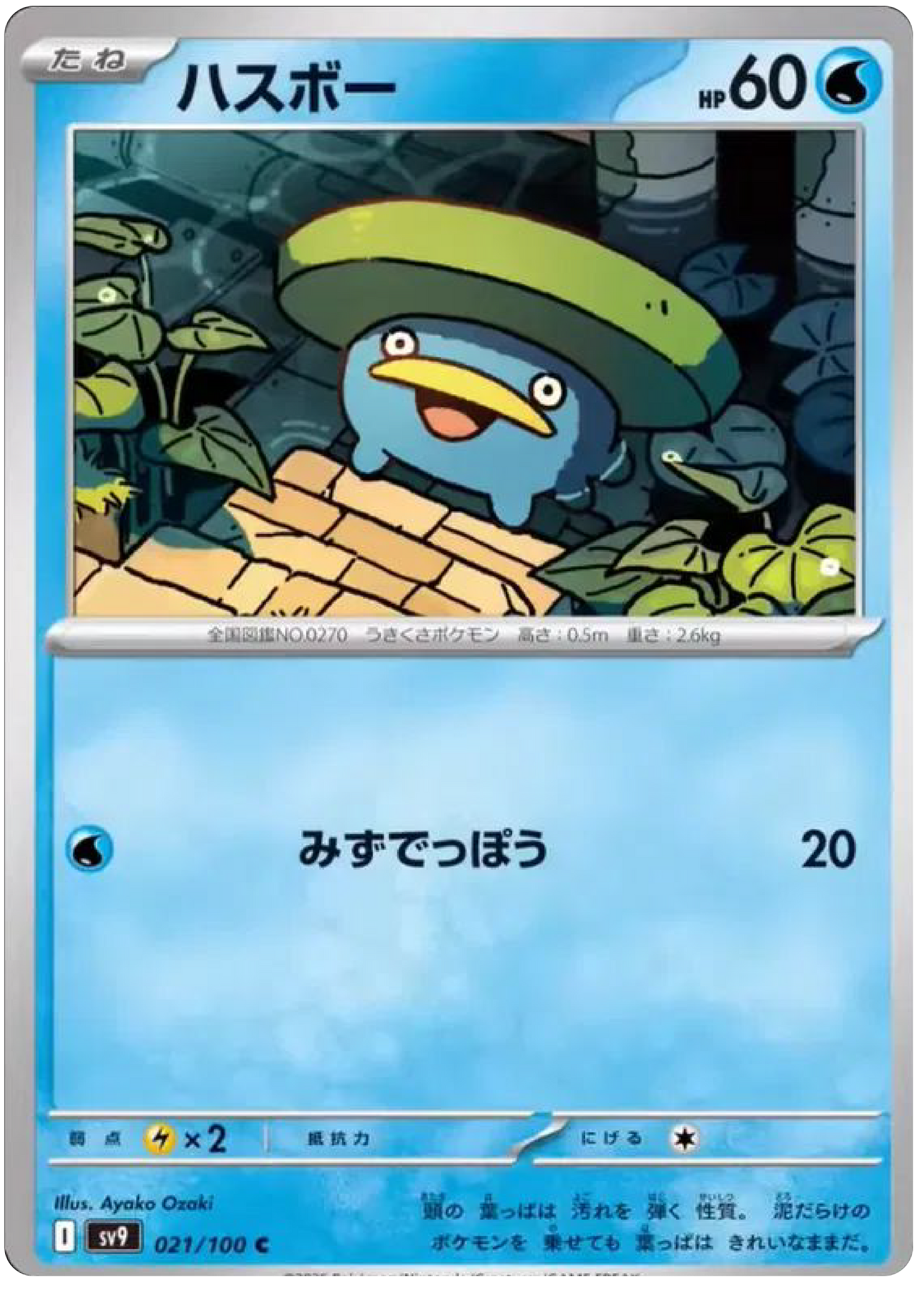 Lotad (21/100) - Pokemon Battle Partners (sv9) - Japanese Pokemon Cards Canada - High Value Hobby