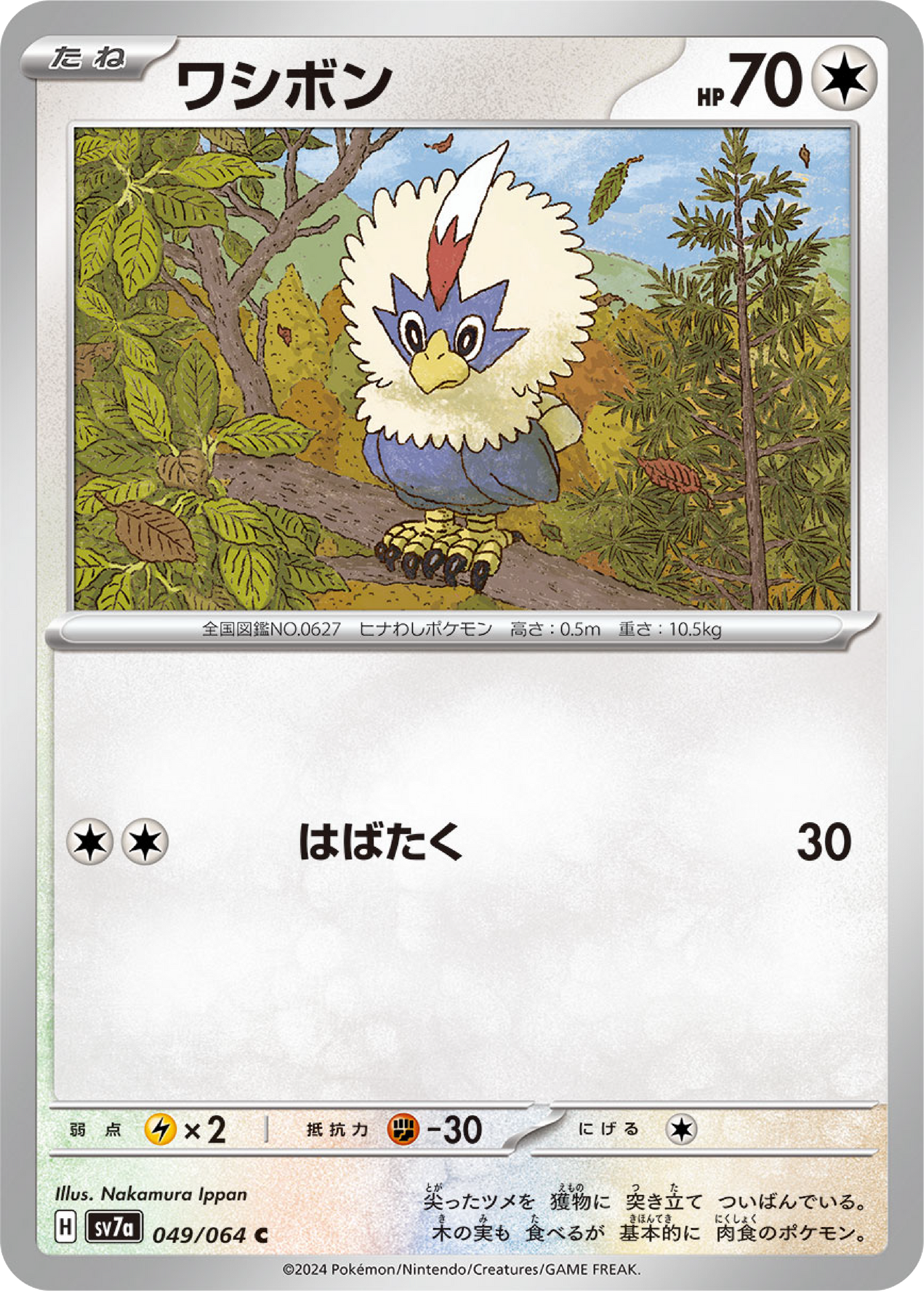 Rufflet (49/64) - Pokemon Paradise Dragona (sv7a) - Japanese Pokemon Card Singles - High Value Hobby