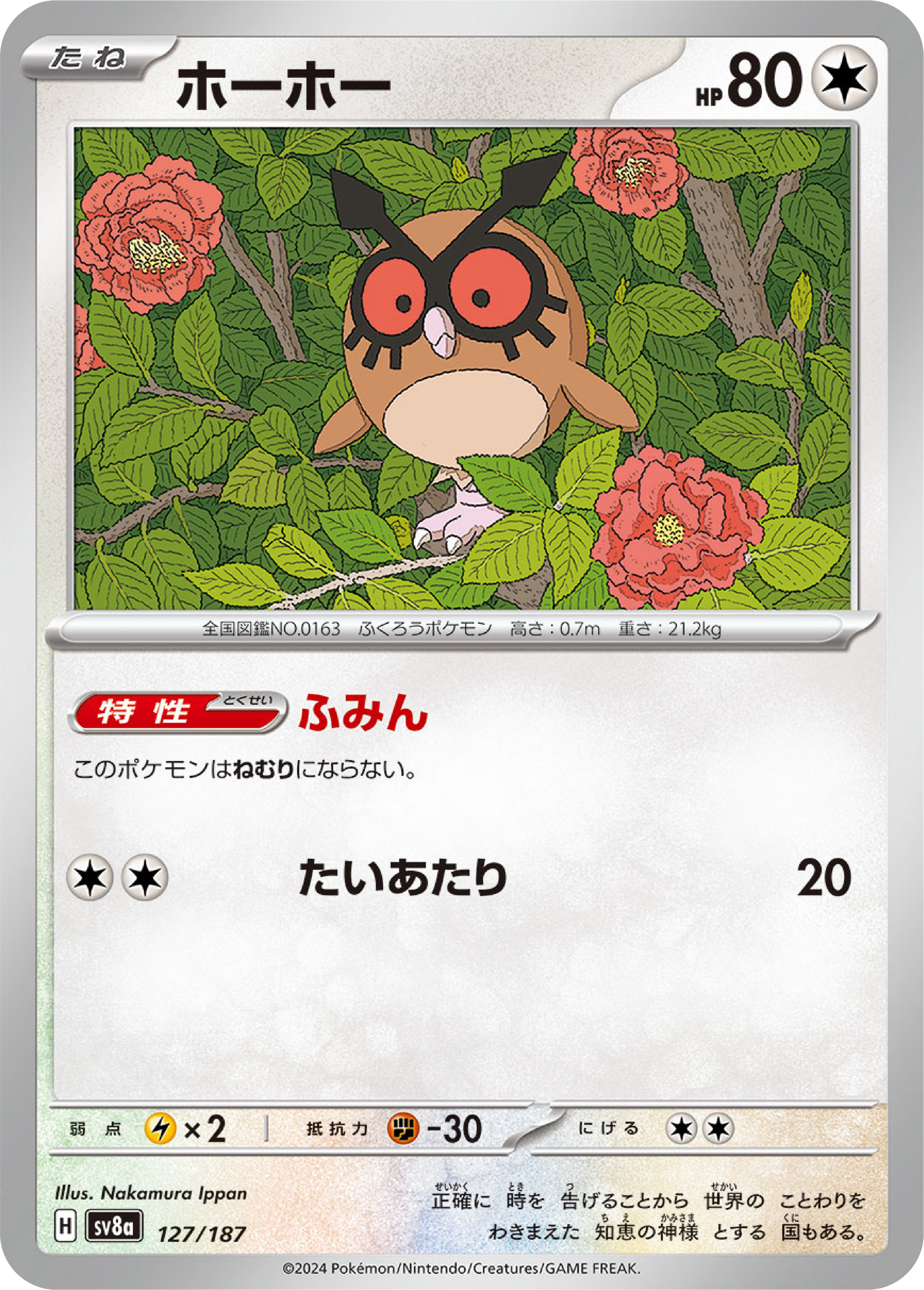 Hoothoot (127/187) - Pokemon Terastal Festival ex (sv8a) - Japanese Pokemon Card Singles - High Value Hobby