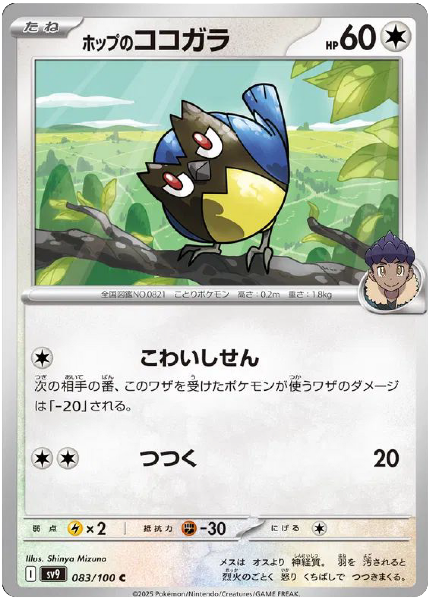 Hop's Rookidee (83/100) - Pokemon Battle Partners (sv9) - Japanese Pokemon Cards Canada - High Value Hobby