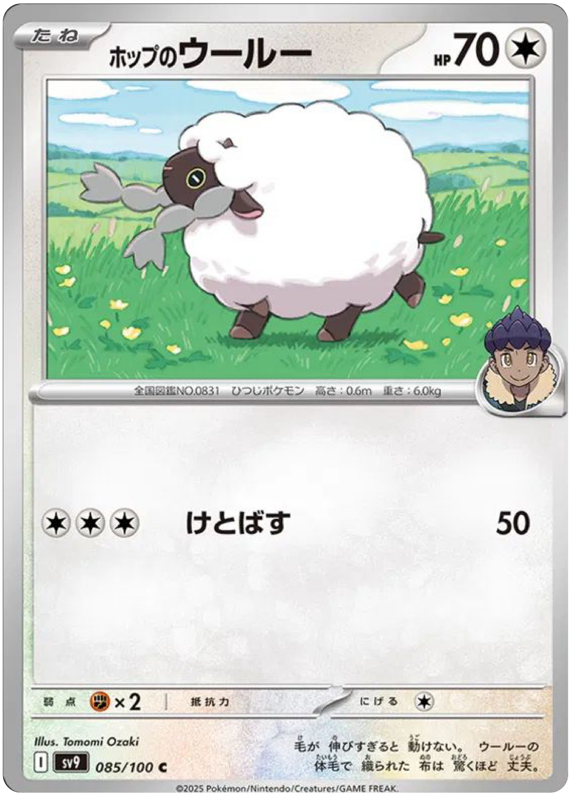 Hop's Wooloo (85/100) - Pokemon Battle Partners (sv9)