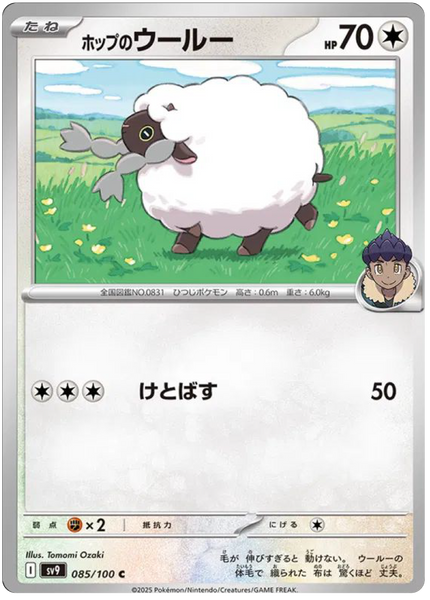 Hop's Wooloo (85/100) - Pokemon Battle Partners (sv9)