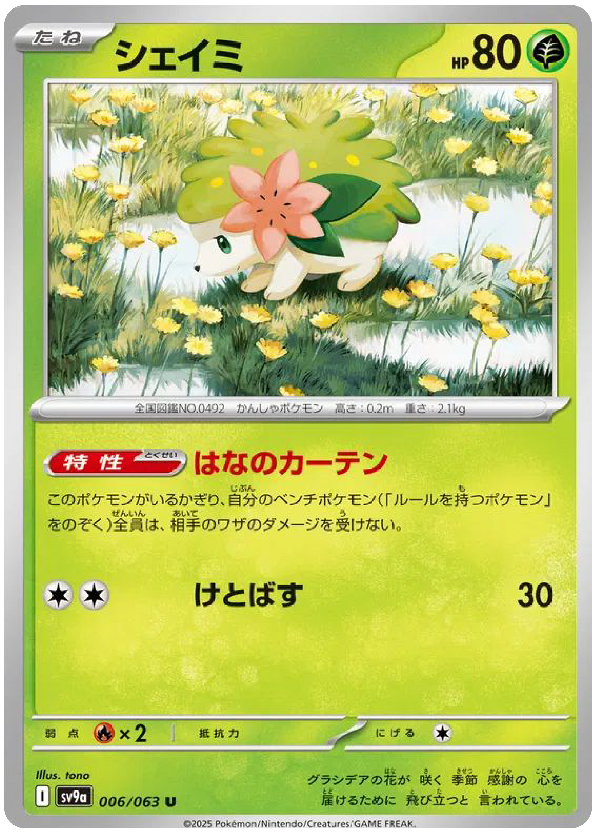 pokemon card identifier app Poke TCG Scanner Dragon Shield